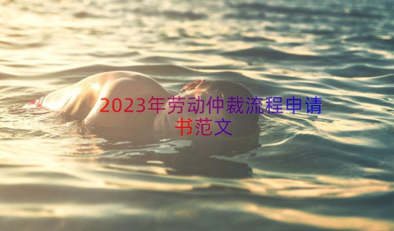 2023年劳动仲裁流程申请书范文（12篇）