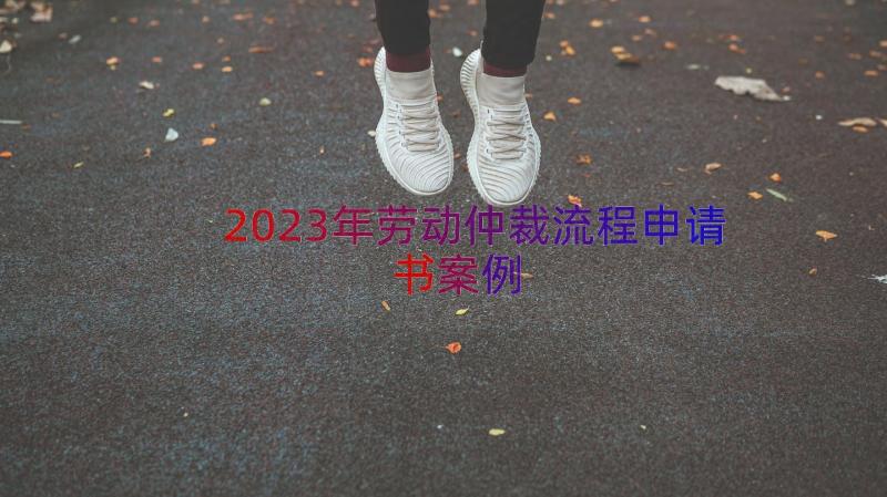 2023年劳动仲裁流程申请书（案例19篇）