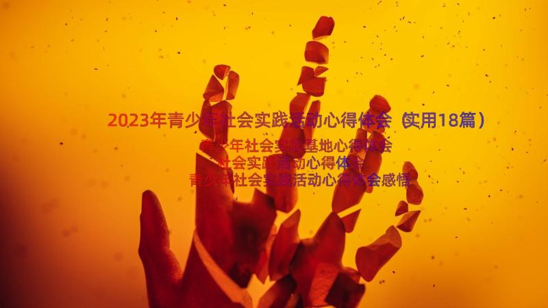 2023年青少年社会实践活动心得体会（实用18篇）