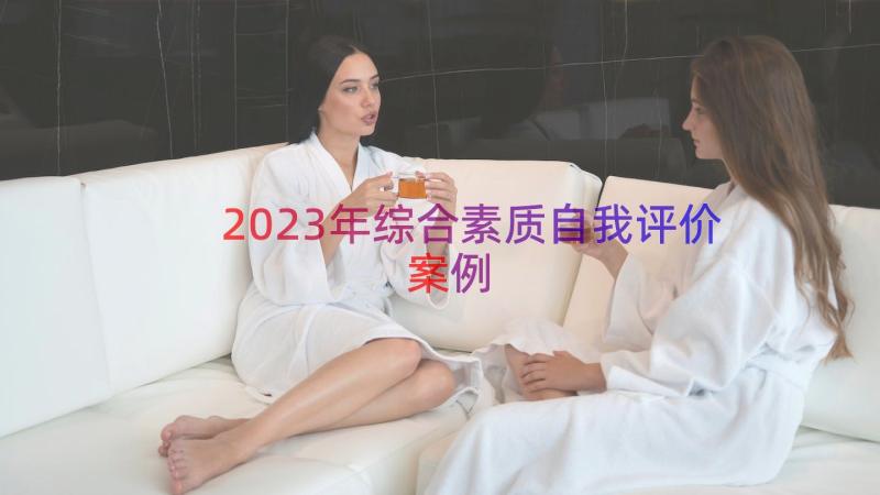 2023年综合素质自我评价（案例14篇）