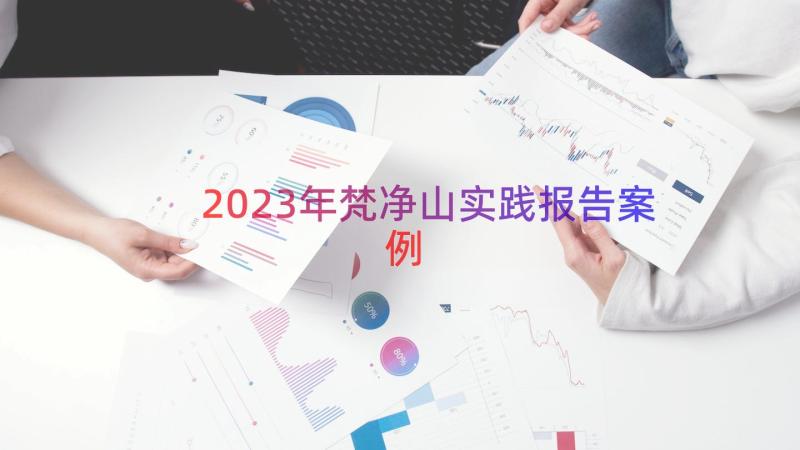 2023年梵净山实践报告（案例18篇）