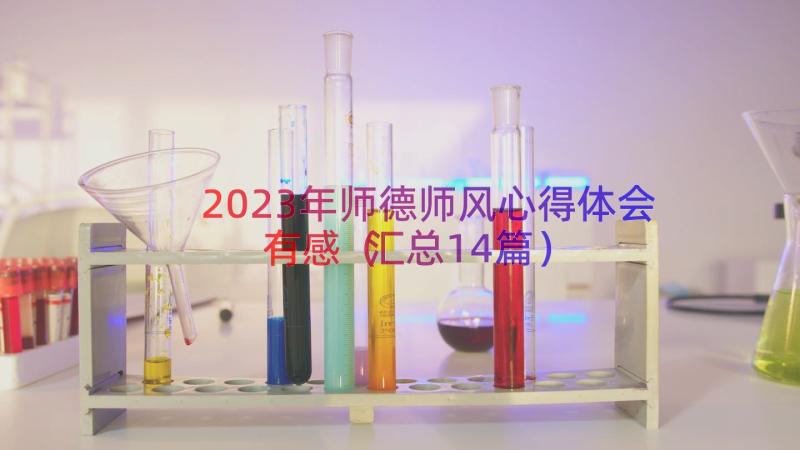 2023年师德师风心得体会有感（汇总14篇）