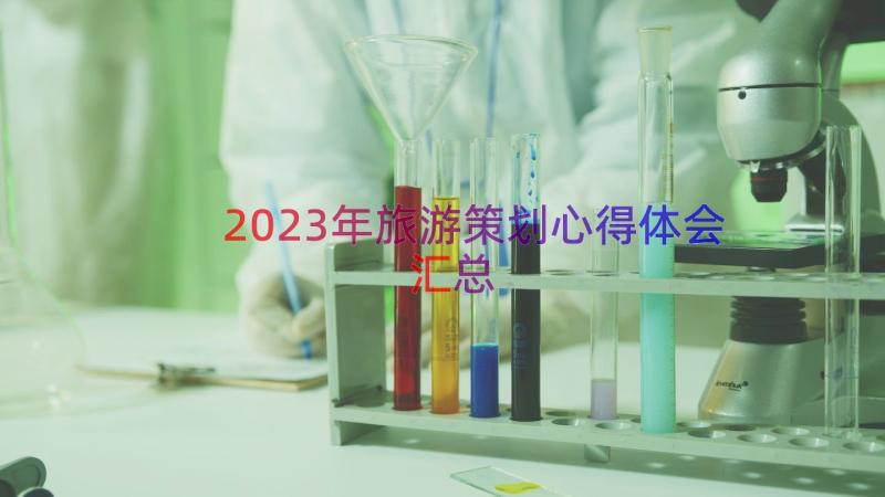 2023年旅游策划心得体会（汇总18篇）