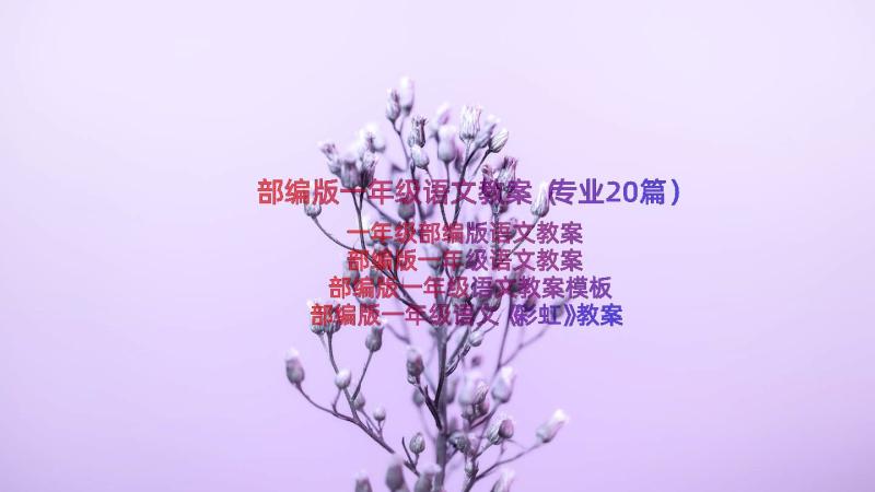 部编版一年级语文教案（专业20篇）