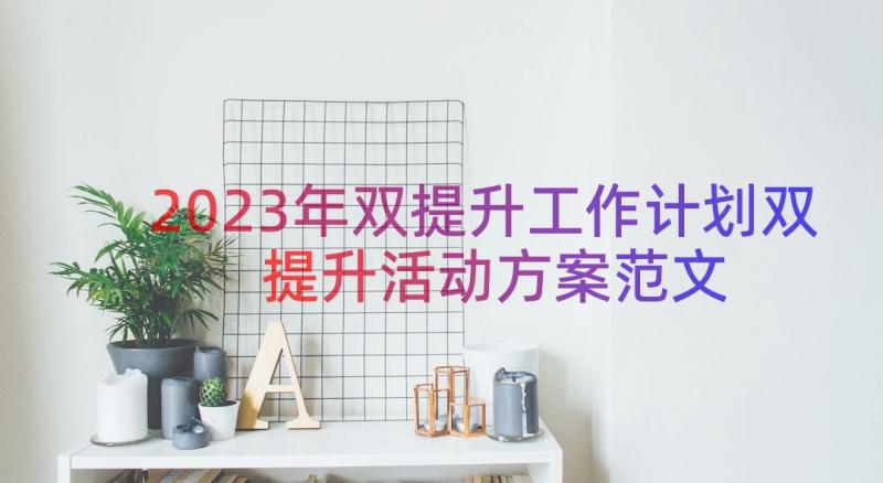 2023年双提升工作计划双提升活动方案范文（13篇）