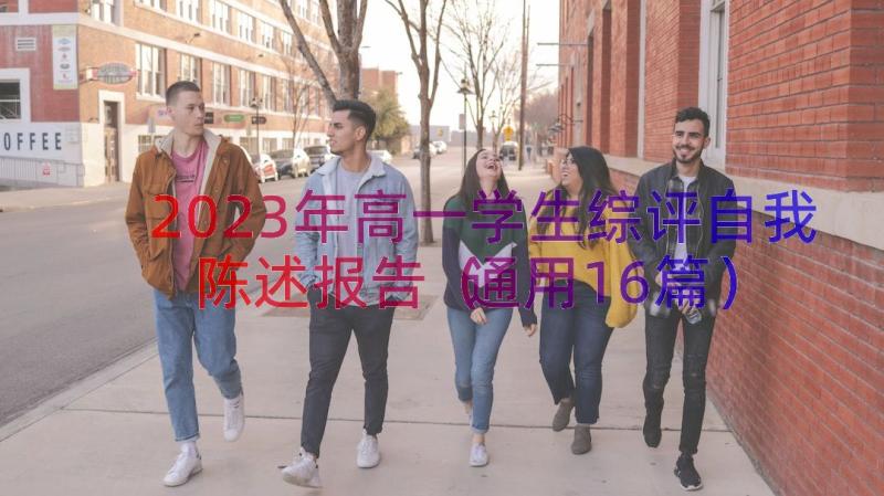 2023年高一学生综评自我陈述报告（通用16篇）