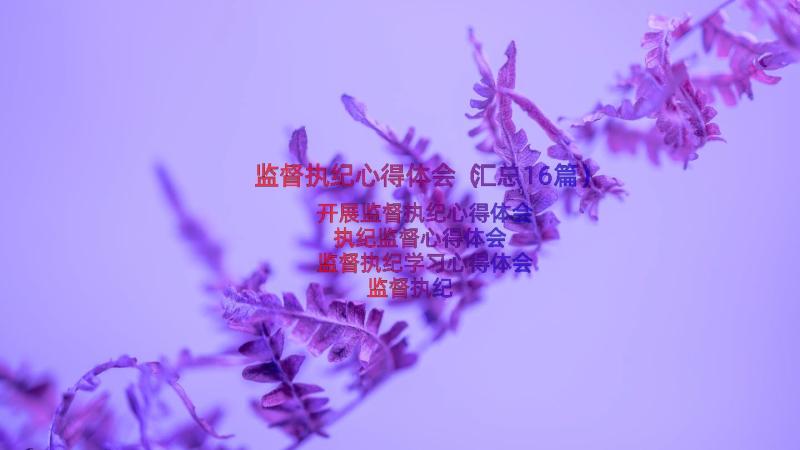 监督执纪心得体会（汇总16篇）