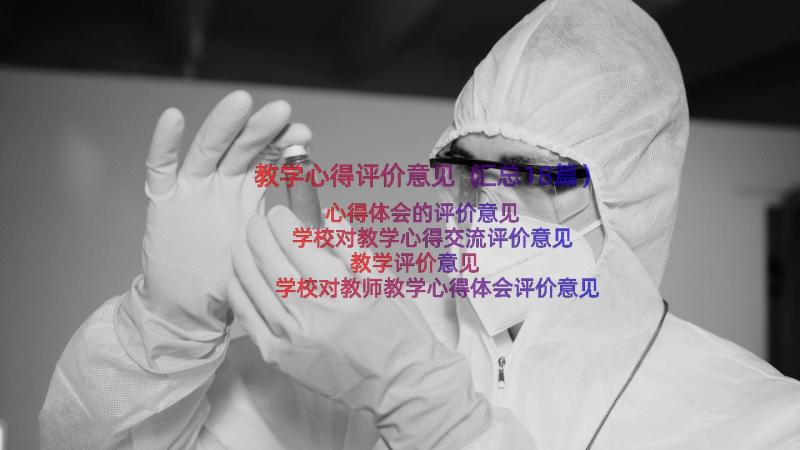 教学心得评价意见（汇总18篇）