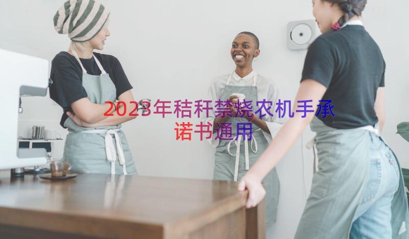 2023年秸秆禁烧农机手承诺书（通用13篇）