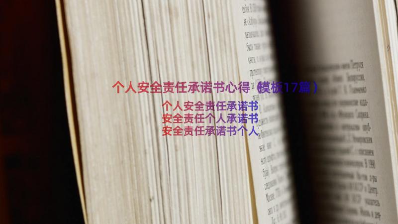 个人安全责任承诺书心得（模板17篇）