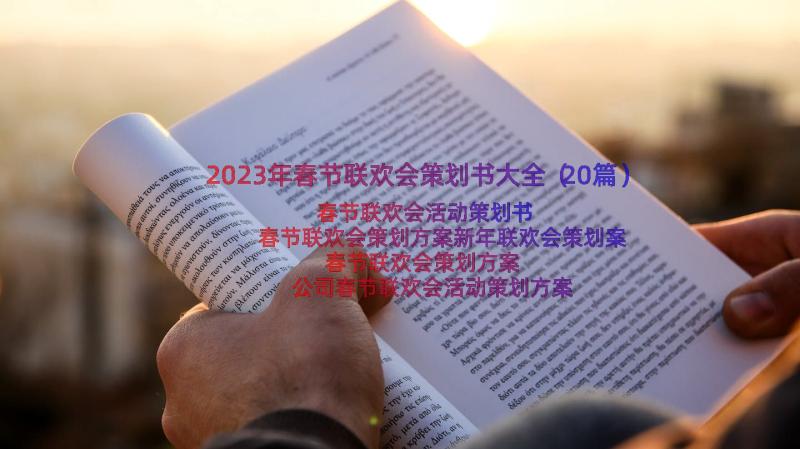 2023年春节联欢会策划书大全（20篇）