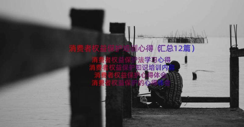 消费者权益保护培训心得（汇总12篇）