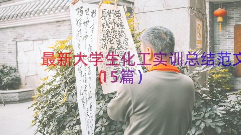 最新大学生化工实训总结范文（15篇）