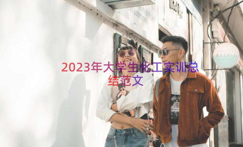 2023年大学生化工实训总结范文（18篇）