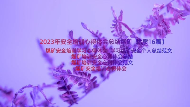 2023年安全培训心得体会总结煤矿（优质16篇）