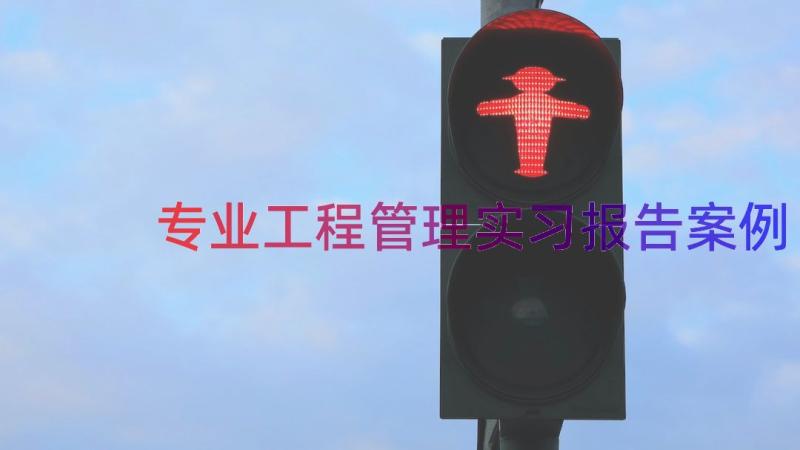 专业工程管理实习报告（案例15篇）