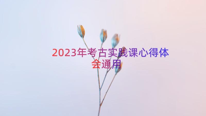 2023年考古实践课心得体会（通用15篇）