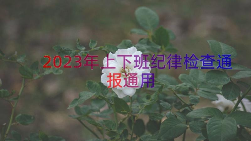 2023年上下班纪律检查通报（通用14篇）