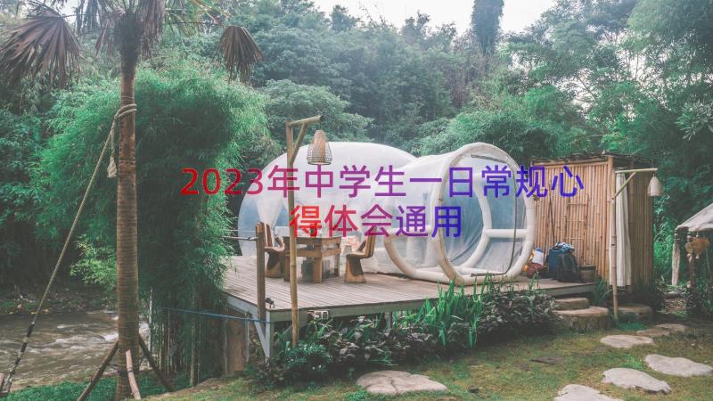 2023年中学生一日常规心得体会（通用13篇）