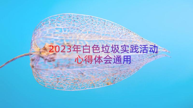 2023年白色垃圾实践活动心得体会（通用17篇）