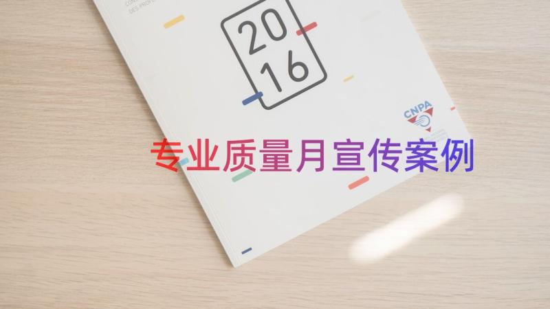 专业质量月宣传（案例18篇）