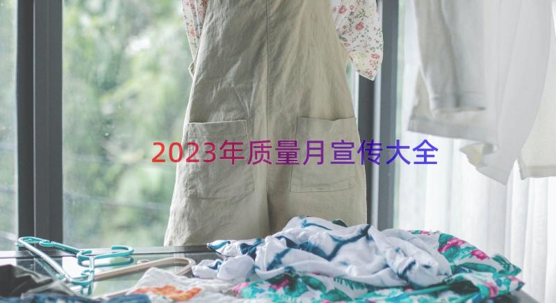 2023年质量月宣传大全（16篇）