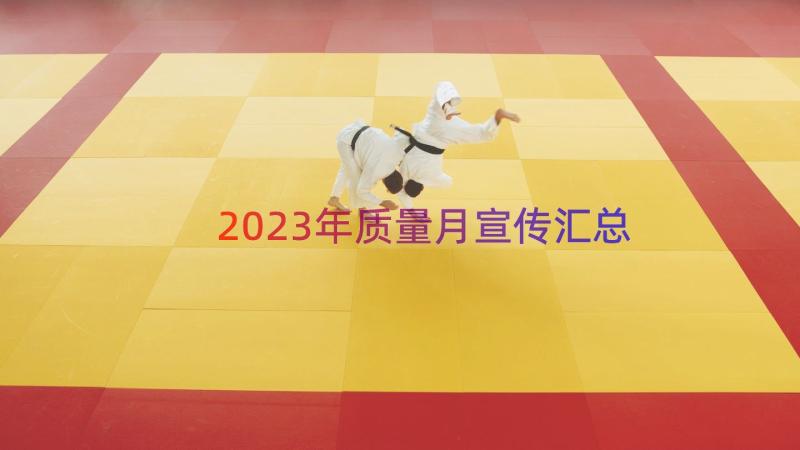 2023年质量月宣传（汇总16篇）