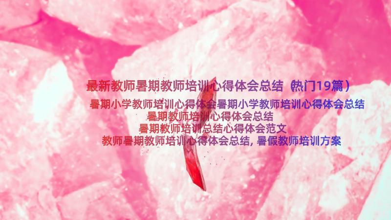 最新教师暑期教师培训心得体会总结（热门19篇）