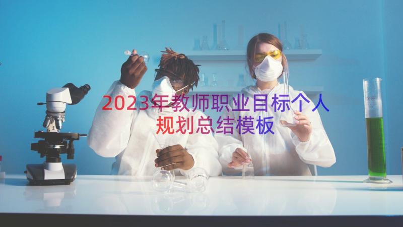 2023年教师职业目标个人规划总结（模板16篇）