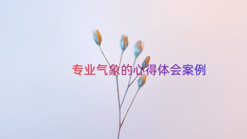 专业气象的心得体会（案例17篇）