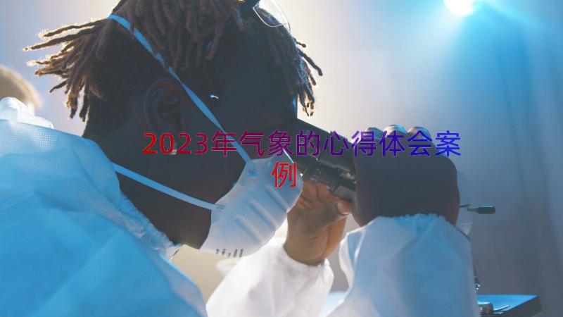 2023年气象的心得体会（案例12篇）