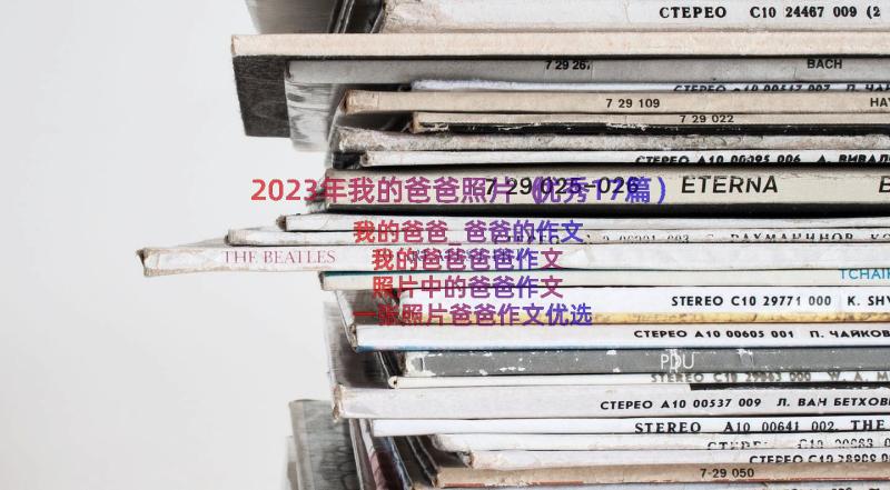 2023年我的爸爸照片（优秀17篇）