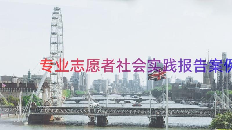 专业志愿者社会实践报告（案例15篇）