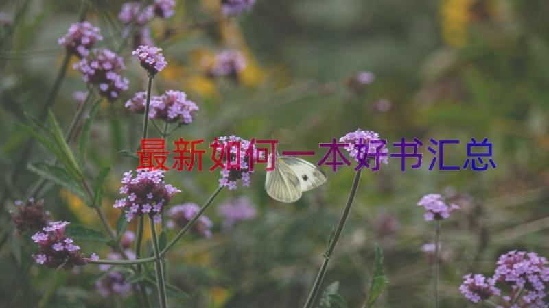 最新如何一本好书（汇总16篇）