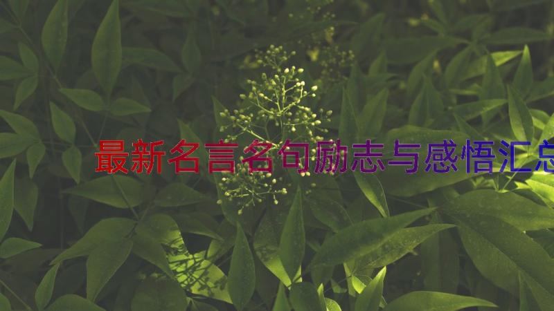 最新名言名句励志与感悟（汇总12篇）