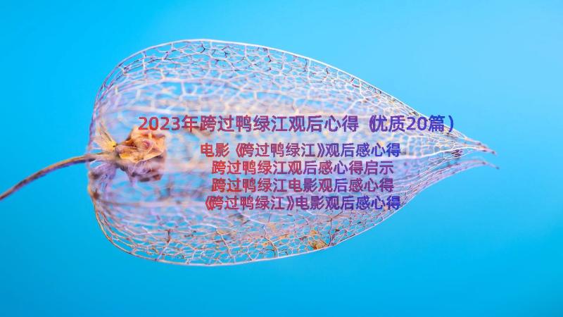 2023年跨过鸭绿江观后心得（优质20篇）