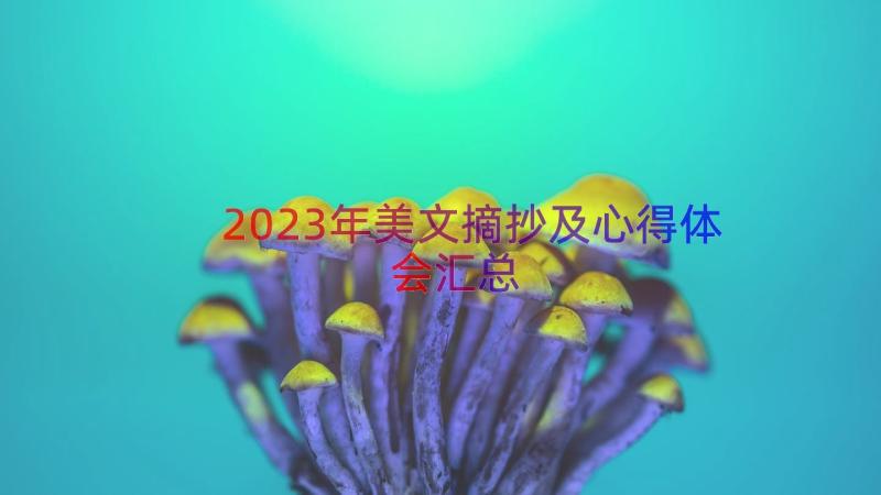 2023年美文摘抄及心得体会（汇总18篇）