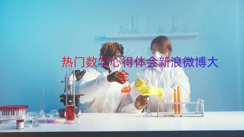 热门数学心得体会新浪微博大全（18篇）