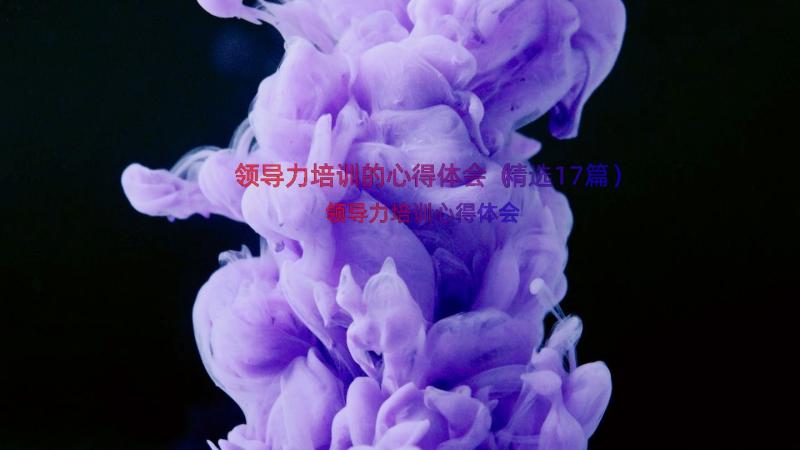 领导力培训的心得体会（精选17篇）