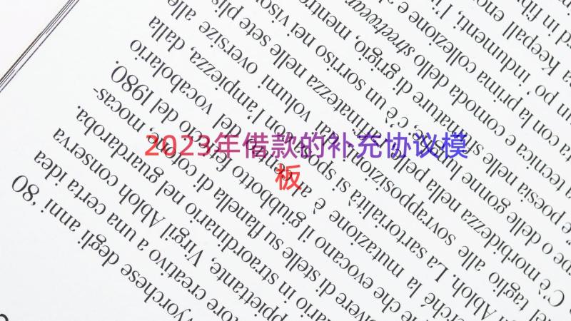 2023年借款的补充协议（模板12篇）