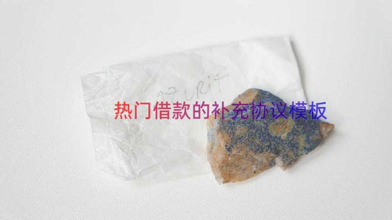 热门借款的补充协议（模板16篇）