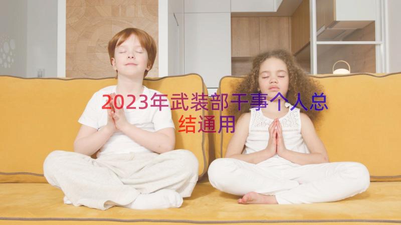 2023年武装部干事个人总结（通用13篇）