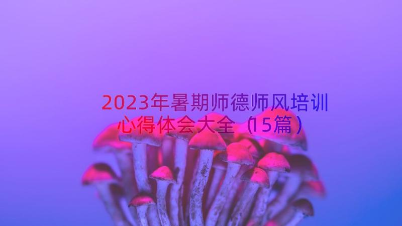 2023年暑期师德师风培训心得体会大全（15篇）