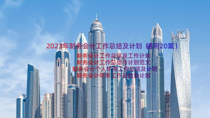 2023年财务会计工作总结及计划（通用20篇）