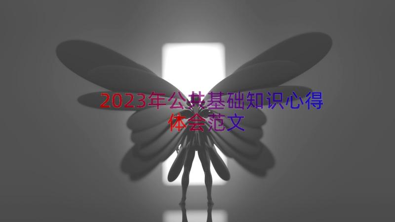 2023年公共基础知识心得体会范文（13篇）