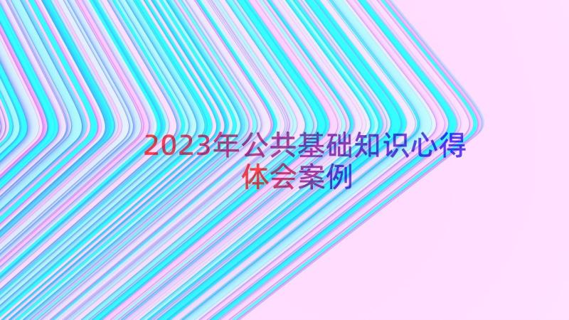 2023年公共基础知识心得体会（案例15篇）