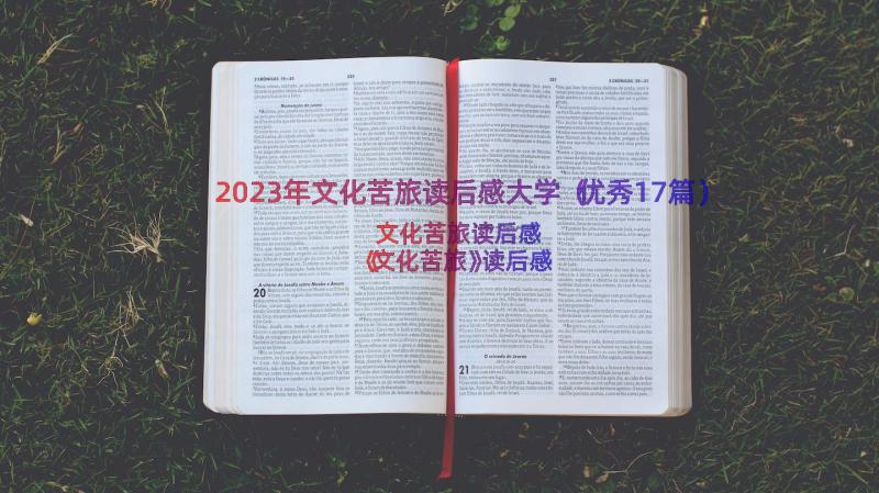 2023年文化苦旅读后感大学（优秀17篇）