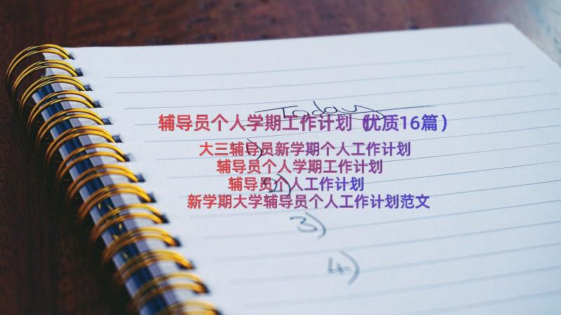 辅导员个人学期工作计划（优质16篇）