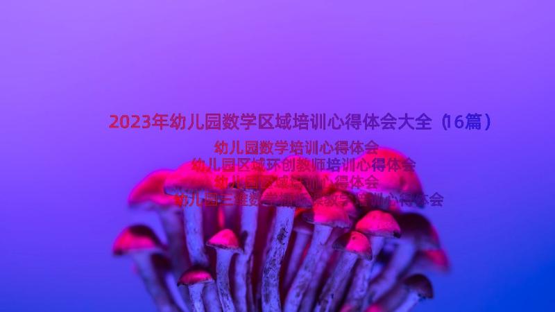 2023年幼儿园数学区域培训心得体会大全（16篇）