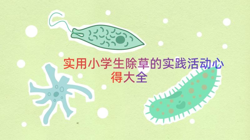 实用小学生除草的实践活动心得大全（14篇）